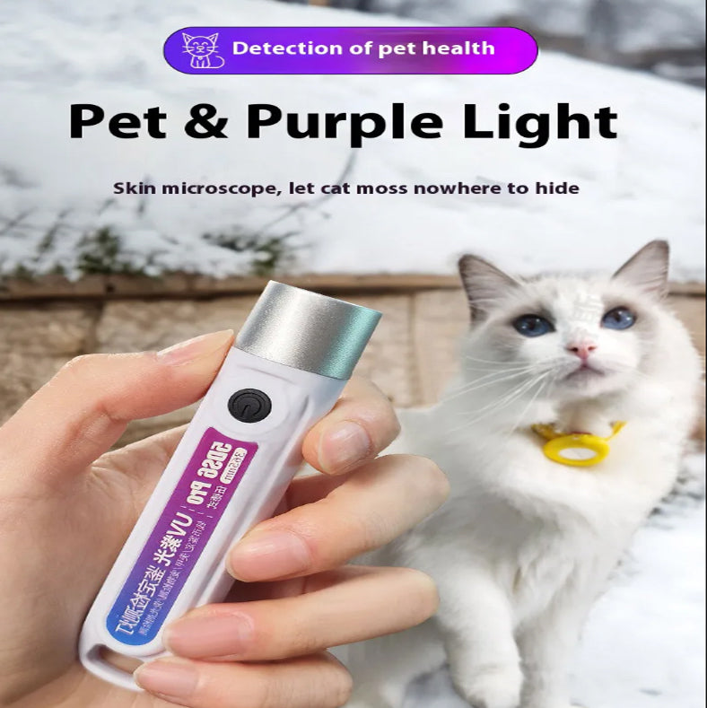 Handheld LED Money Detector | Currency Detector Ultra Violet Torch | Fake Note Checker | Portable UV Counterfeit Detection Light Elegant store